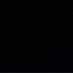 Meet your Posher, Rocco